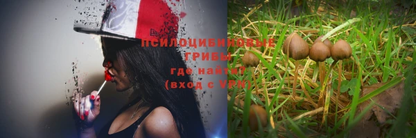 альфа пвп Богородицк